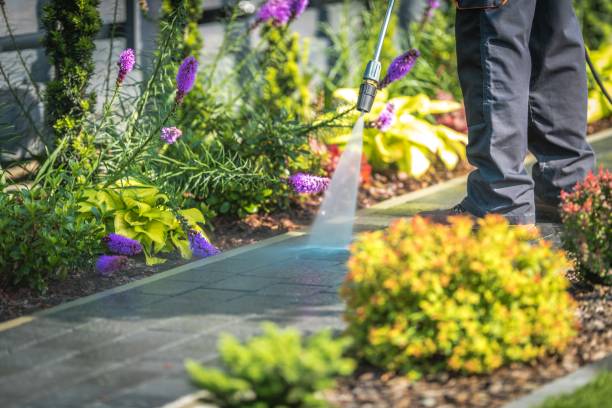 Trusted Park City, MT Pressure Washing Services Experts